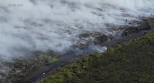 Kebakaran Hutan Produksi di Pulang Pisau, Petugas Kesulitan Memadamkan Api