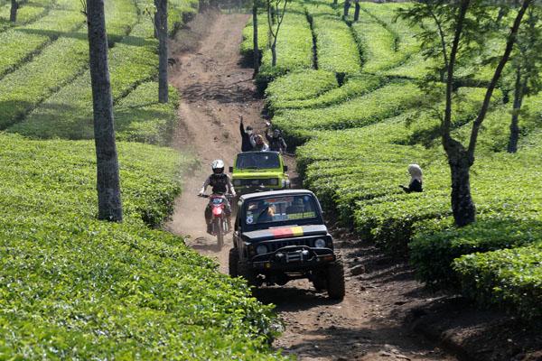 One Day Trip Spesial di Kebun Teh Lawang, Wisata Agro Wonosari Hidangkan  Liburan Berkesan