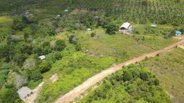 Ramai Soal Pulau Rempang, Pakar Sebut Bukan Pemukiman Tanah Adat Tapi Kawasan Hutan