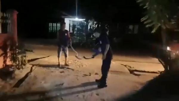 Momen Ular Piton Sepanjang 2 Meter Serang Petugas Damkar saat Dievakuasi