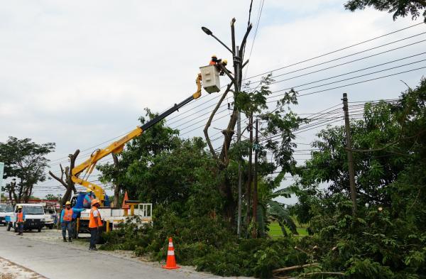 PLN Lakukan Pemeliharaan Jaringan di 11 Kota/Kabupaten, Ini Lokasinya