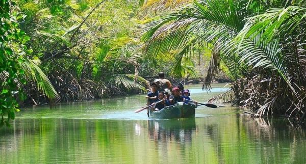 Keunikan Desa Tersembunyi di Ujung Kulon, Ada Pemandangan Sungai Mirip Amazon