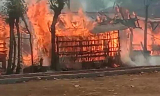 Sederet Kandang Kambing di Pemalang Terbakar, Puluhan Ternak Kambing Mati Terpanggang