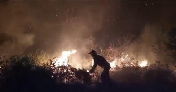 Kebakaran 2 Hektare Lahan di Sebangau Kalteng Nyaris Membakar ke Kabel Listrik