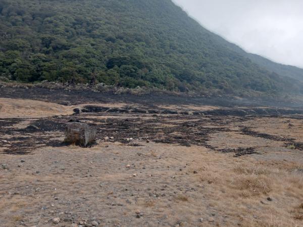 Waduh! Kebakaran Alun-alun Suryakancana Gunung Gede Pangrango Ternyata Ada Unsur Kesengajaan