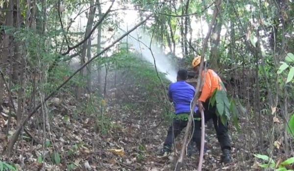 Damkar dan BPBD Subang Selamatkan Hutan Kota Ranggawulung dari Kebakaran Hebat