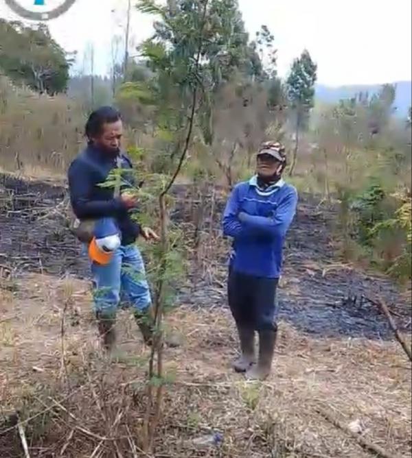 Polisi Amankan Terduga Pelaku Pembakaran Hutan Kawasan Ijen