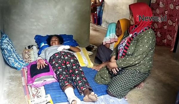 Video Buaya Besar Way Semaka Kembali Gigit Warga