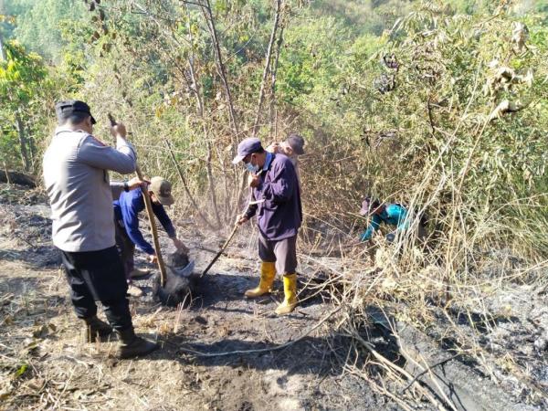 Kebakaran di Gunung Lawu Petak 39 Ngawi Berhasil Dipadamkan Tim Gabungan TNI-Polri dan RPH
