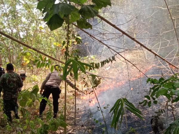 Perhutani Alami Kerugian Puluhan Juta Akibat Kebakaran di Lereng Gunung Budheg