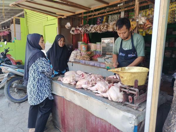 Berkah Maulid, Penjualan Ayam Potong Milik Pedagang di Probolinggo Naik Tiga Kali Lipat