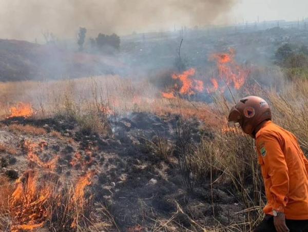 Marak Kebakaran Hutan dan Lahan di Cilegon, Penyebab Puntung Rokok dan Pembakaran Sampah