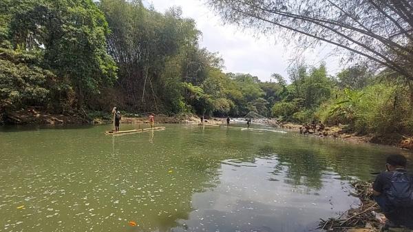 Kemarau Panjang Membawa Berkah, Warga Ciamis Panen Ikan di Sungai Citanduy