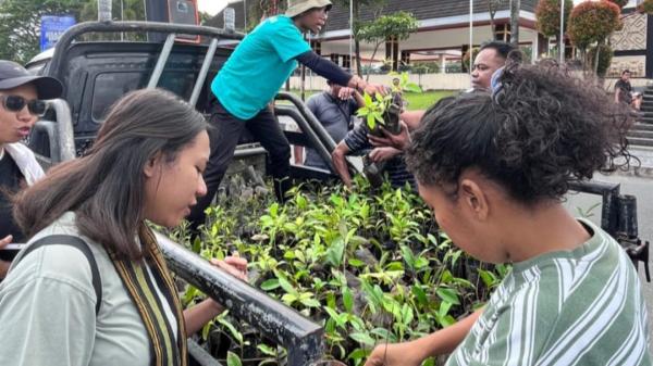 Komunitas Moluccas Coastal Care Bagi Ratusan Anakan Pohon untuk Warga Kota Ambon