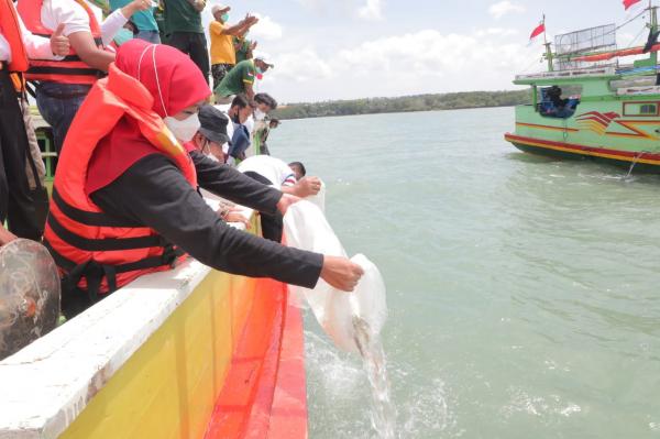 Agustus 2023 Daya Beli Nelayan Jawa Timur Turun 2,78 Persen, Ini Alasannya