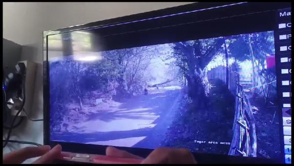 Terekam CCTV, Pengendara Motor Tewas Tertimpa Pohon Tumbang di Merak