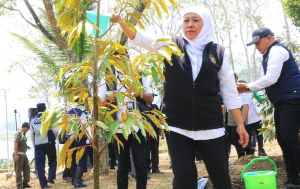 Lawan Perubahan Iklim, Gubernur Khofifah Gencarkan Aksi Tanam Pohon