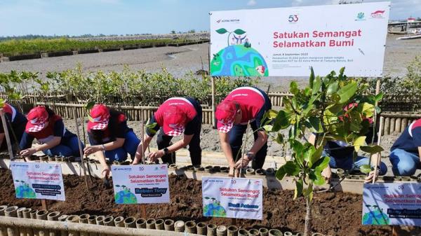 Honda Tanam 10.000 Bibit Mangrove di Bali, Begini Tanggapan Aktivis Lingkungan