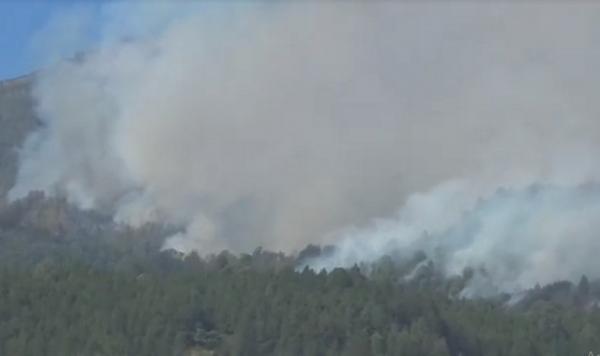 Kebakaran Hutan Hari Ini di Gunung Lawu Kawasan Magetan Meluas Hingga 15 Hektare