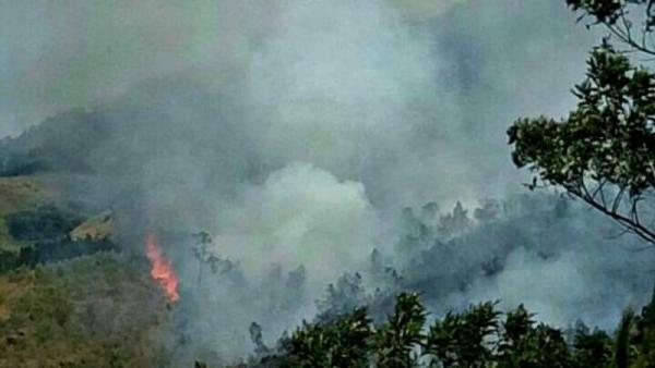 Viral! Makin Memburuk, Malaysia Tuding Indonesia Penyebab Kabut Asap Dan Cemari Udara