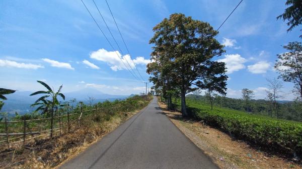 Terhipnotis Pesona Bukit Gamping di Perbatasan Tasikmalaya-Garut, Serasa di Awang-Awang