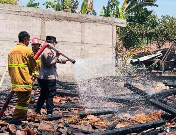 Lupa Matikan Kompor, Rumah dan Kandang Kerbau di Penawangan Ludes Terbakar