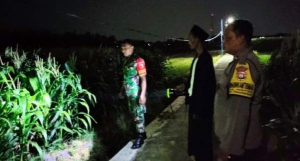 Cegah Pencurian Hasil Panen, Polisi dan TNI Patroli Sawah