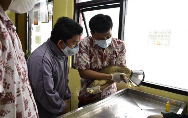 Pemkot Surabaya Sediakan Layanan Klinik Hewan Secara Gratis
