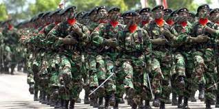 Lulus SMA Sederajat Ingin Jadi Tentara, Simak Syarat Pendidikan Anggota TNI AD