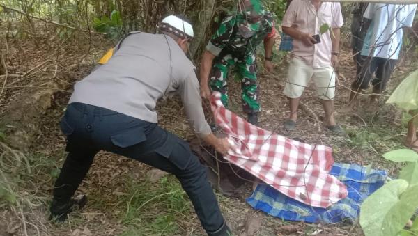 BREAKING NEWS: Warga Papalang Mamuju Ditemukan Tak Bernyawa di Hutan