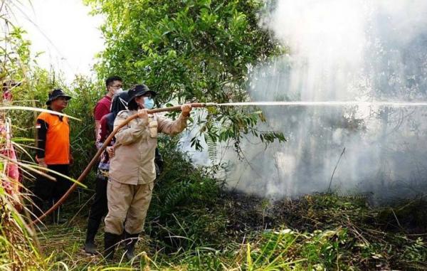 28 Hektare Lahan Terbakar di Lamandau Dalam 9 Bulan Terakhir