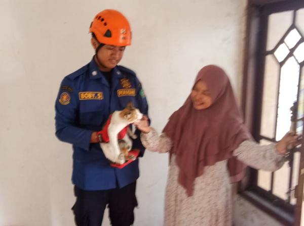 Kucing Tak Bisa Turun dari Atap Usai Kejar Tikus, Tim Rescue BPBD Sidoarjo Diminta Turun Tangan