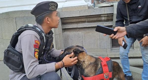 Mengenal Stela, Anjing Pintar Pemburu Narkoba Milik Polda Jabar 