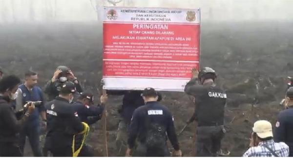KLHK Segel 372 Hektare Lahan PT PGK di Palangka Raya Imbas Karhutla