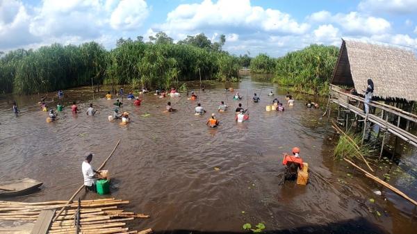 Musim Kemarau, Masyarakat Belitung Timur Gelar Nirok di Sungai