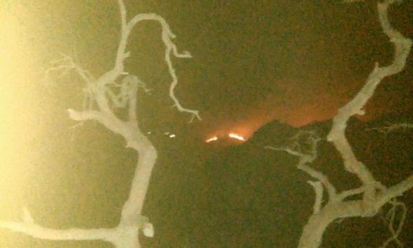 Kawasan Kawah Ijen Banyuwangi Terbakar, Tim BKSDA Jatim Turun Padamkan Api