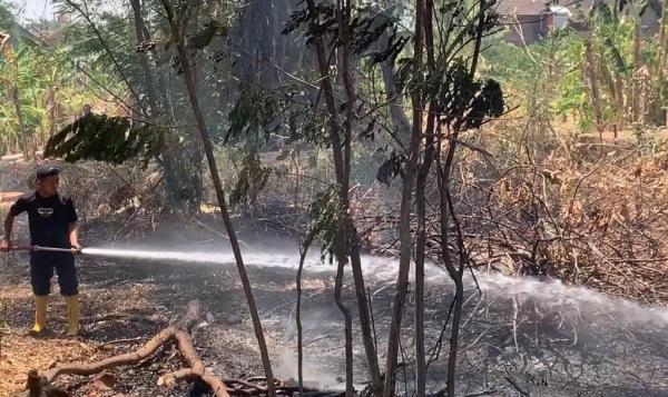 Kebakaran Lahan di Ponorogo Bikin Warga Panik, Lokasinya Dekat Pemukiman Padat