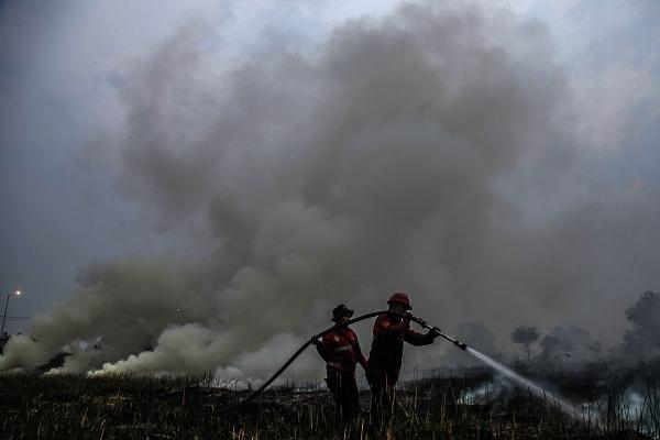 Kepala BNPB Sebut Gelar  271 Kali TMC Padamkan Api Karhutla