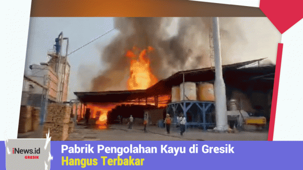 Pabrik Pengolahan Kayu di Gresik Hangus Terbakar, 2 Pekerja Luka Luka