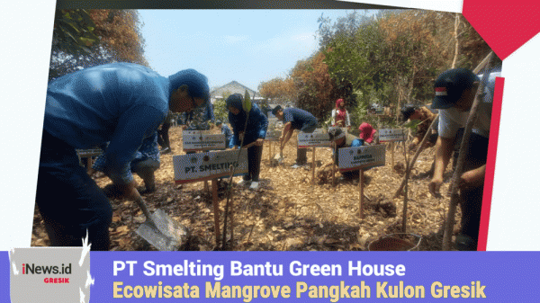 Dukung Pengembangan Keanekaragaman Hayati, PTS Sediakan Green House untuk Ecowisata Mangrove