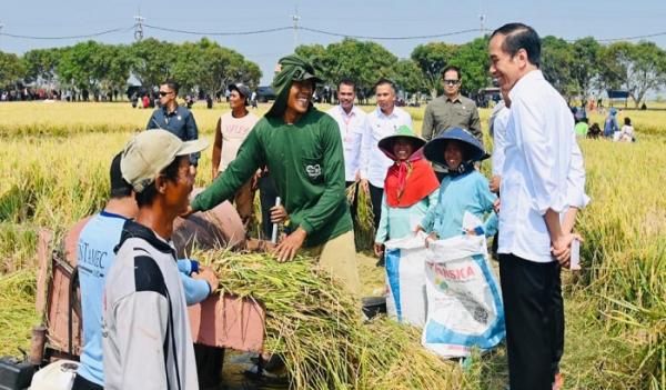 Jokowi Sebut Harga Gabah Tinggi Bikin Petani Senang Kecuali Konsumen
