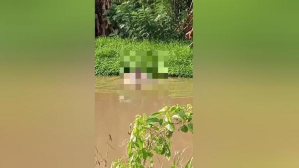 Seorang Pria Tewas Diterkam Buaya Saat Mencari Ikan di Sungai Wungguloko Koltim