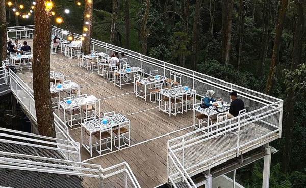 Deretan Cafe Instagramable di Magetan, Ada yang Ditengah Hutan Pinus