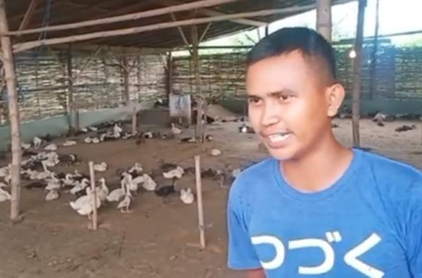 Anggota TNI di Probolinggo Sukses Budidaya Bebek, Untung Jutaan Rupiah Sekali Panen