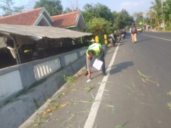Kades di Probolinggo Tewas, Usai Mobil yang Ditumpangi Menabrak Pagar Tembok Rumah Warga