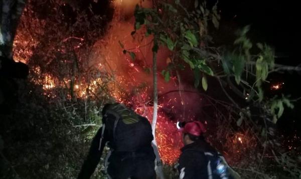 Gunung Arjuno Terbakar Lagi, Titik Api Muncul di Blok Garotan Ledug Pasuruan 