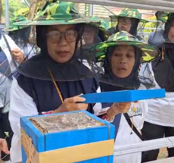 PNM Fasilitasi Studi Banding Nasabah di Purwokerto dalam Budi Daya Lebah