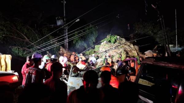 Sopir Grandmax Tertimpa Pohon Tumbang di Depan Stasiun Balapan, Evakuasi Pakai Chainsaw