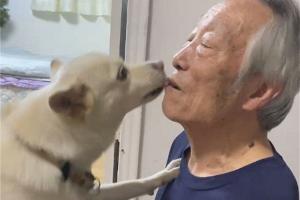 Kakek Ini  Carikan Rumah Baru untuk Anjing Peliharaannya, Begini Ceritanya!