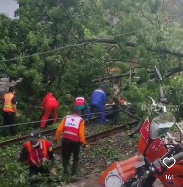 Hujan Es dan Angin Kencang Sebabkan Pohon Roboh Menutupi Jalur Rel kereta Api di Cimahi